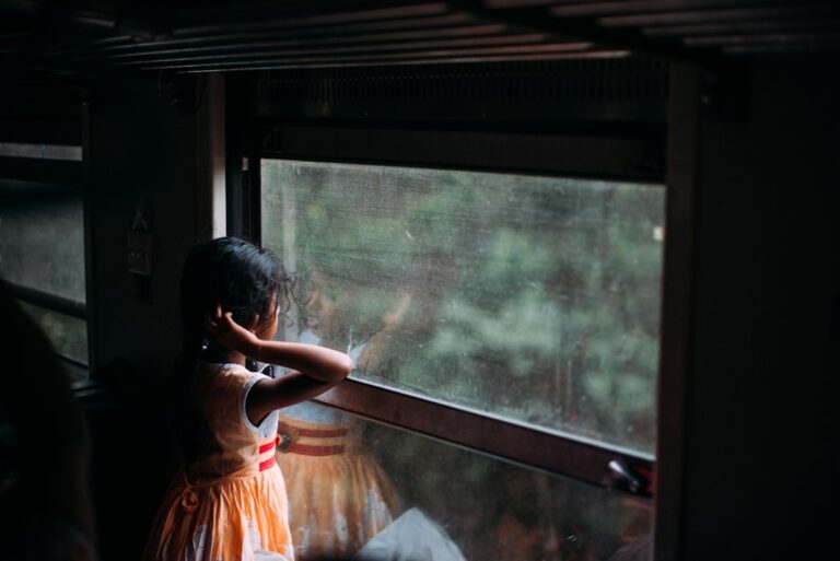Photo Train window