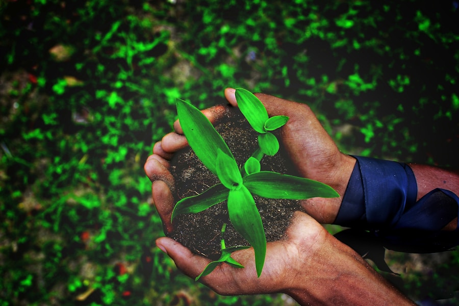 Photo "How to implement a sustainability policy in your business"