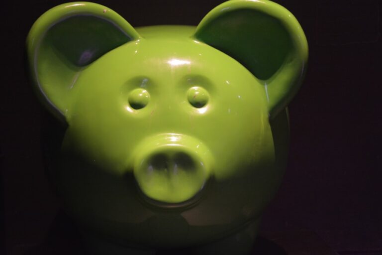 Photo "How to choose the best financial products to save efficiently"