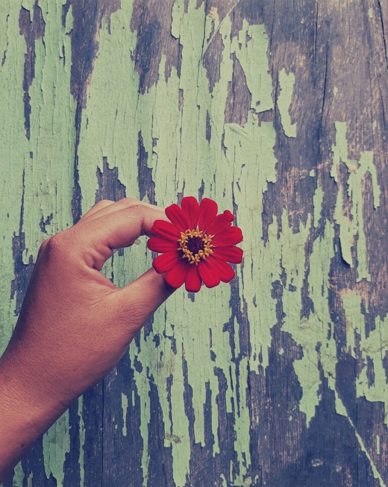 Photo "How to cultivate a mindset of gratitude for a happier life"