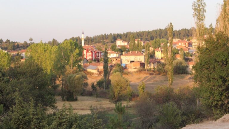 Photo Rural Tourism Arad County - What Villages to Visit