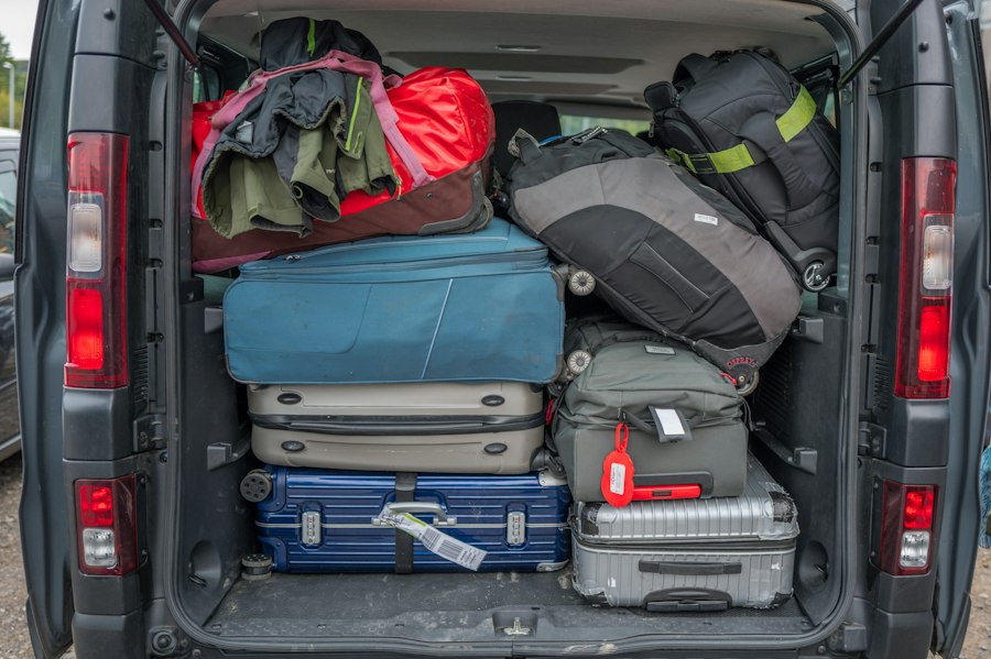 organize travel